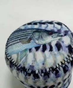 Thefishingshop SportFish Striper Baitcaster Series Cover