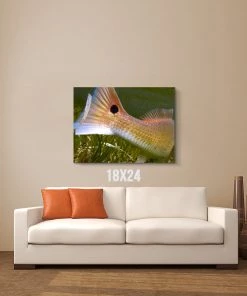 Thefishingshop Fish Tail Canvas