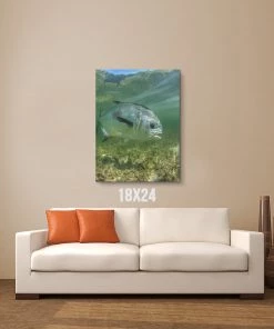 Thefishingshop Canvas Art Simply Swimming Canvas