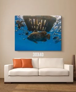 Thefishingshop Canvas Art Fish Pallet Canvas