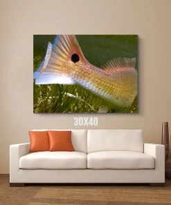 Thefishingshop Fish Tail Canvas