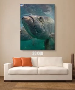 Thefishingshop Facetime Canvas Canvas Art