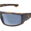Gator Jim's La Jolla Tortoise Salt Life Sunglasses