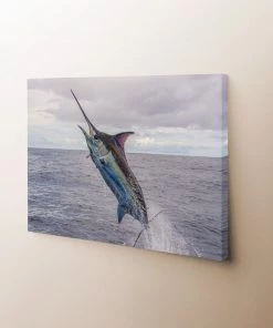 Thefishingshop Sky High Canvas Canvas Art