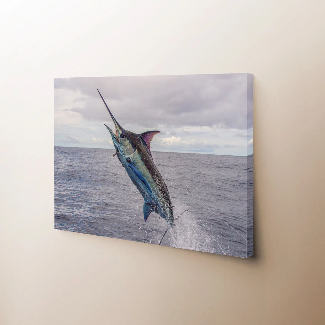 Thefishingshop Sky High Canvas Canvas Art