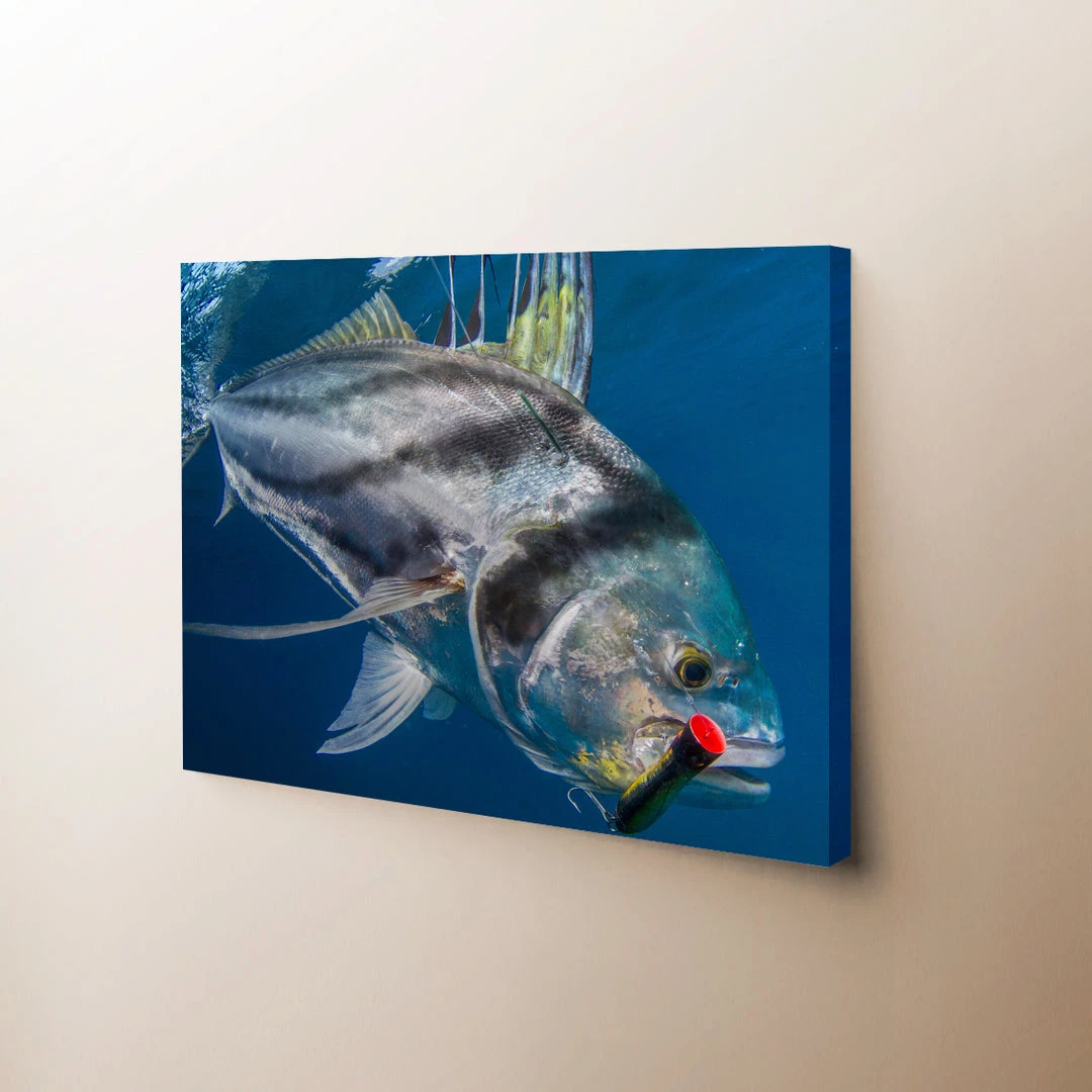 Thefishingshop Canvas Art Fish Lure Canvas