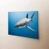 Thefishingshop The Deep Blue Sea Canvas Art