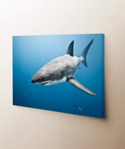 Thefishingshop The Deep Blue Sea Canvas Art